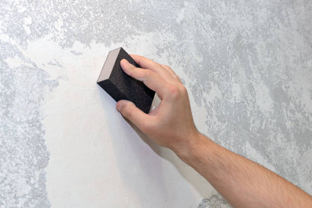 Best Environmental Consulting for Mold Prevention  in North Star, DE
