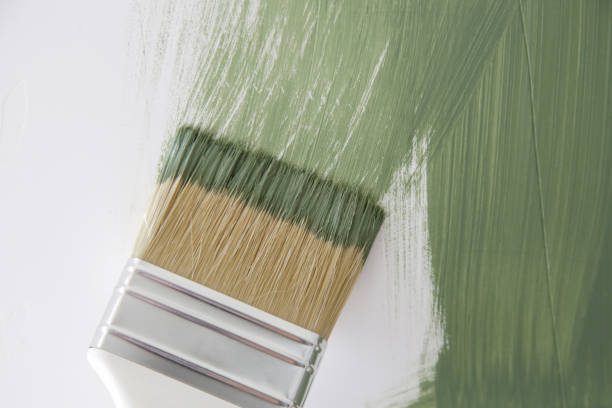 Best Mold Damage Restoration  in North Star, DE