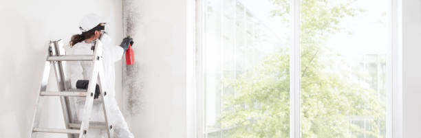 Dehumidification Services in North Star, DE