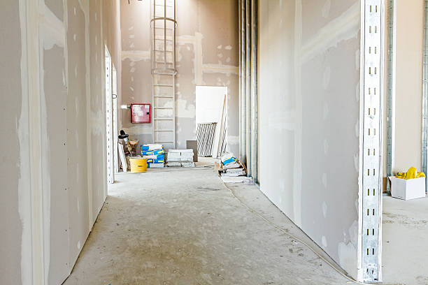 Best Comprehensive Air Testing for Mold Contaminants  in North Star, DE